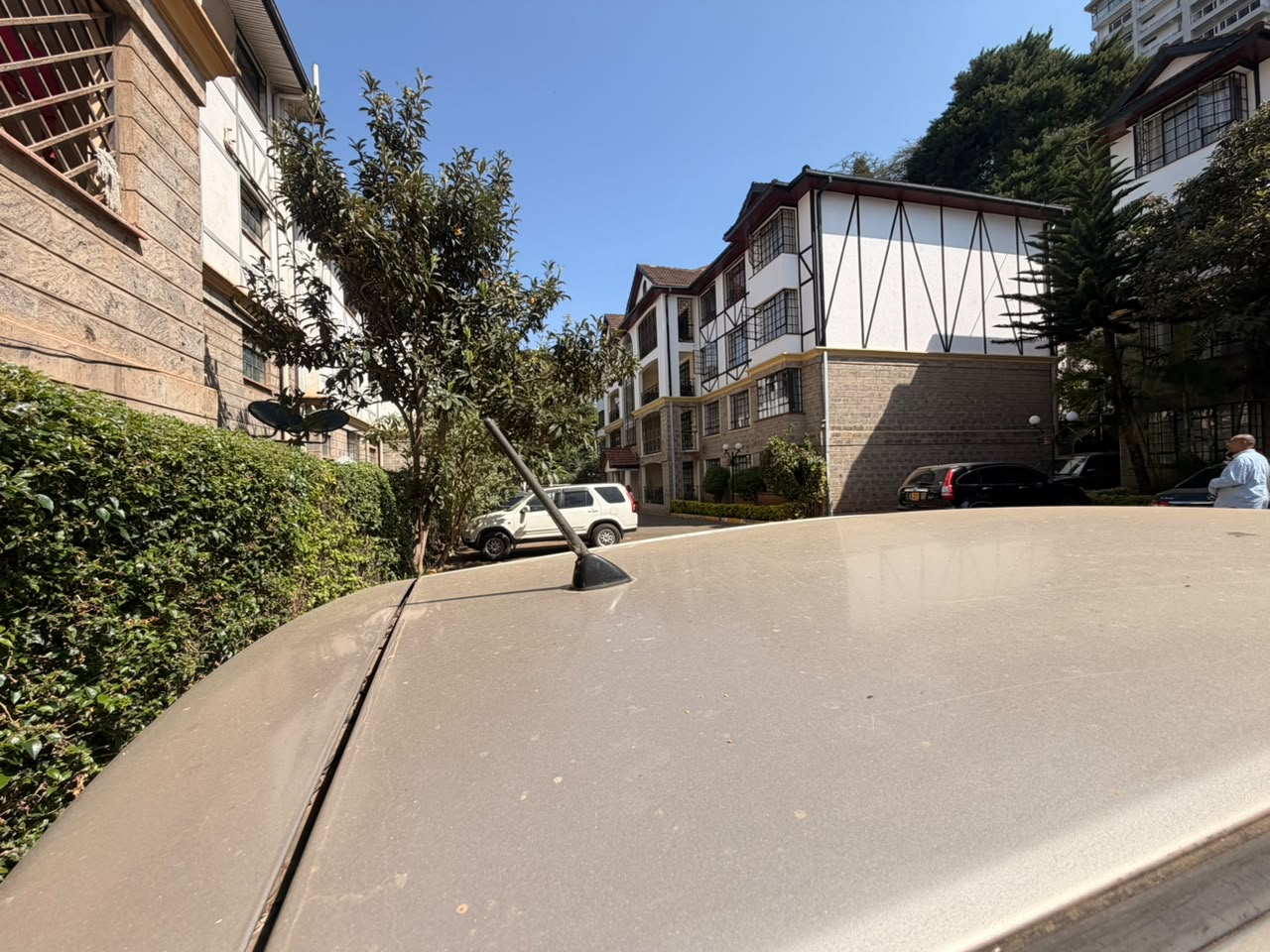 Tree Line Apartments